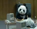 funny-panda-ads,panda cheese add,comercial do panda,melhor comercial de 2010,underconstruction blog