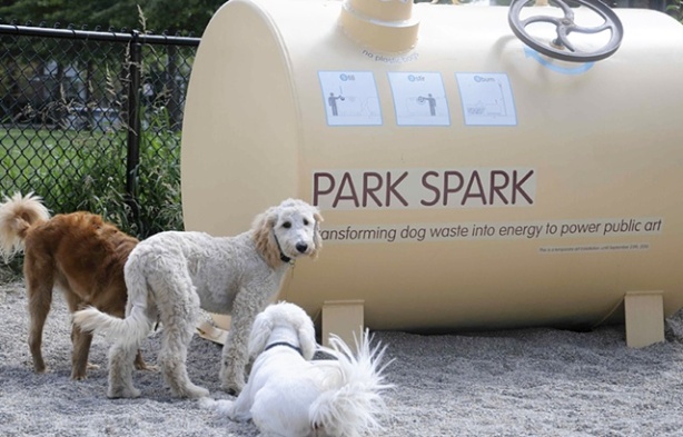 The Park Spark Project,luz movida a coco de cachorro,sustentabilidade,ecofriendly,underconstruction blog,dog waste